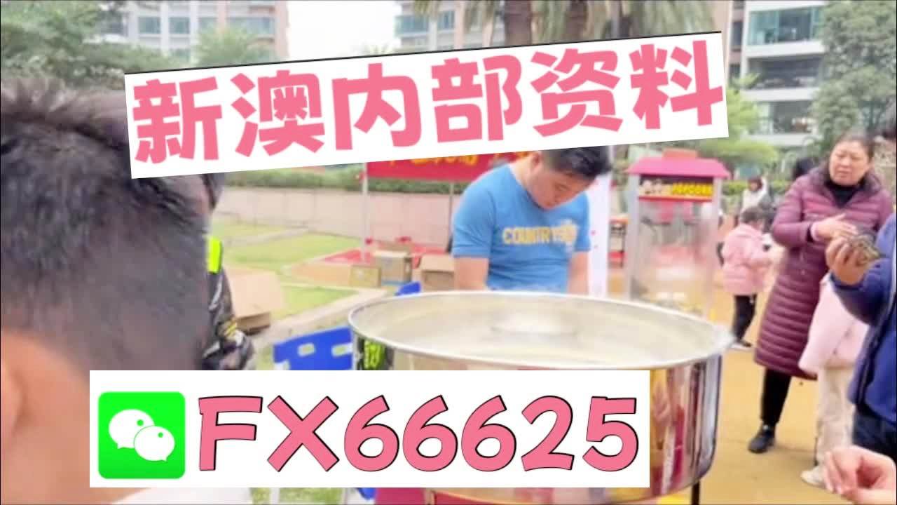 新奧2025正版資料大全，全面解析與深度探索，新奧2025正版資料大全，全面解析與深度探索揭秘