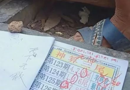 香港中特期期準(zhǔn)資料，深度解析與探索，香港中特期期準(zhǔn)資料深度解析與探索報(bào)告