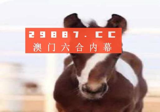 澳門一肖一碼狀元紅，揭秘彩票背后的秘密與策略，澳門彩票揭秘，狀元紅背后的秘密與策略解析