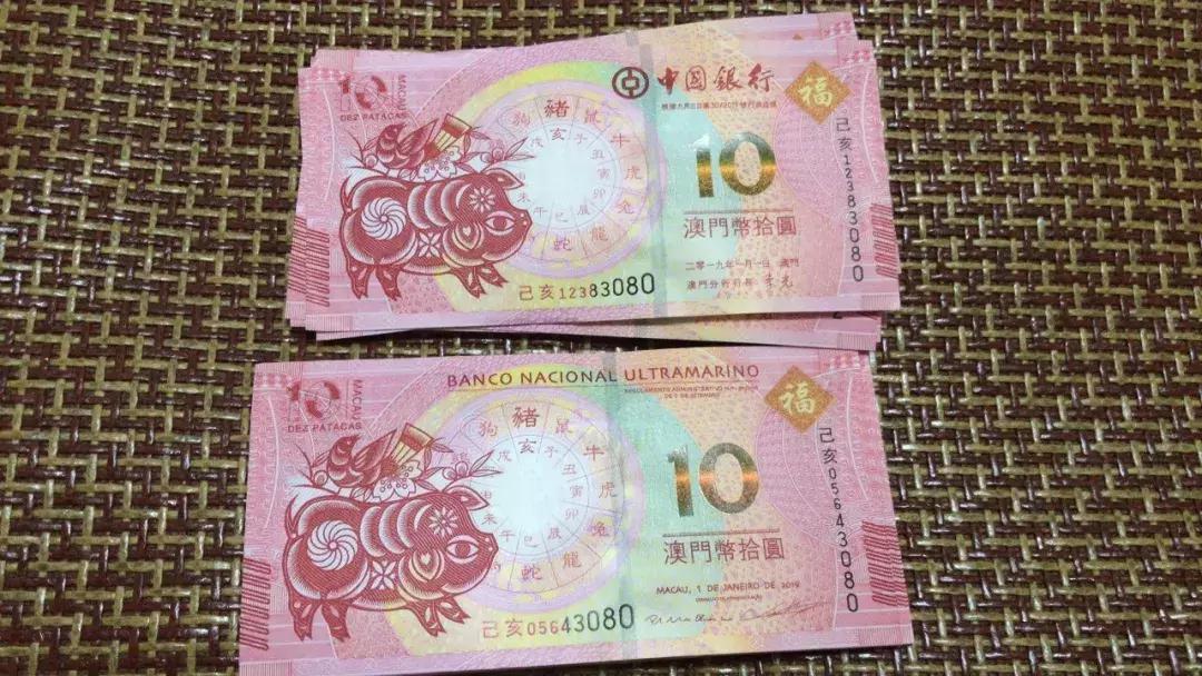 新澳門生肖走勢圖，深度解析與預(yù)測，澳門生肖走勢圖深度解析及預(yù)測報告