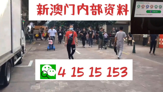 澳門管家婆，揭秘一種獨(dú)特的文化現(xiàn)象與娛樂(lè)體驗(yàn)，澳門管家婆，文化現(xiàn)象與娛樂(lè)體驗(yàn)的揭秘