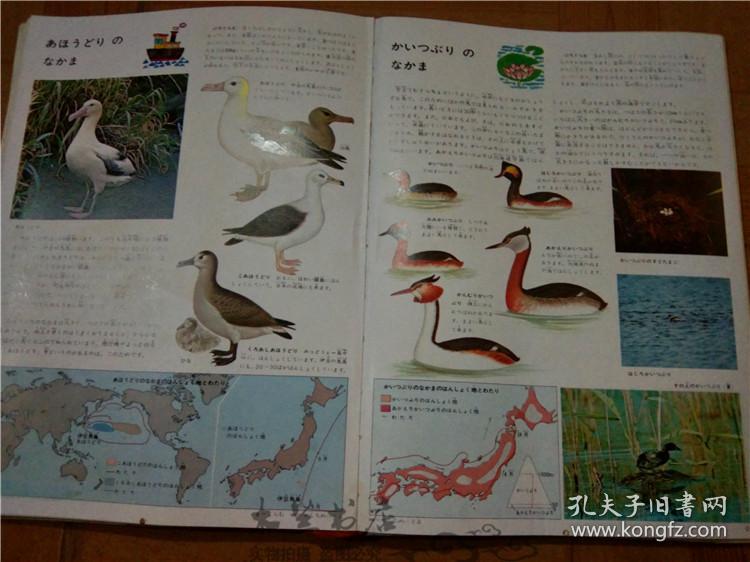 今日正版跑狗圖分享，探索7777788888跑狗圖的魅力，今日正版跑狗圖分享，探索魅力十足的777778跑狗圖