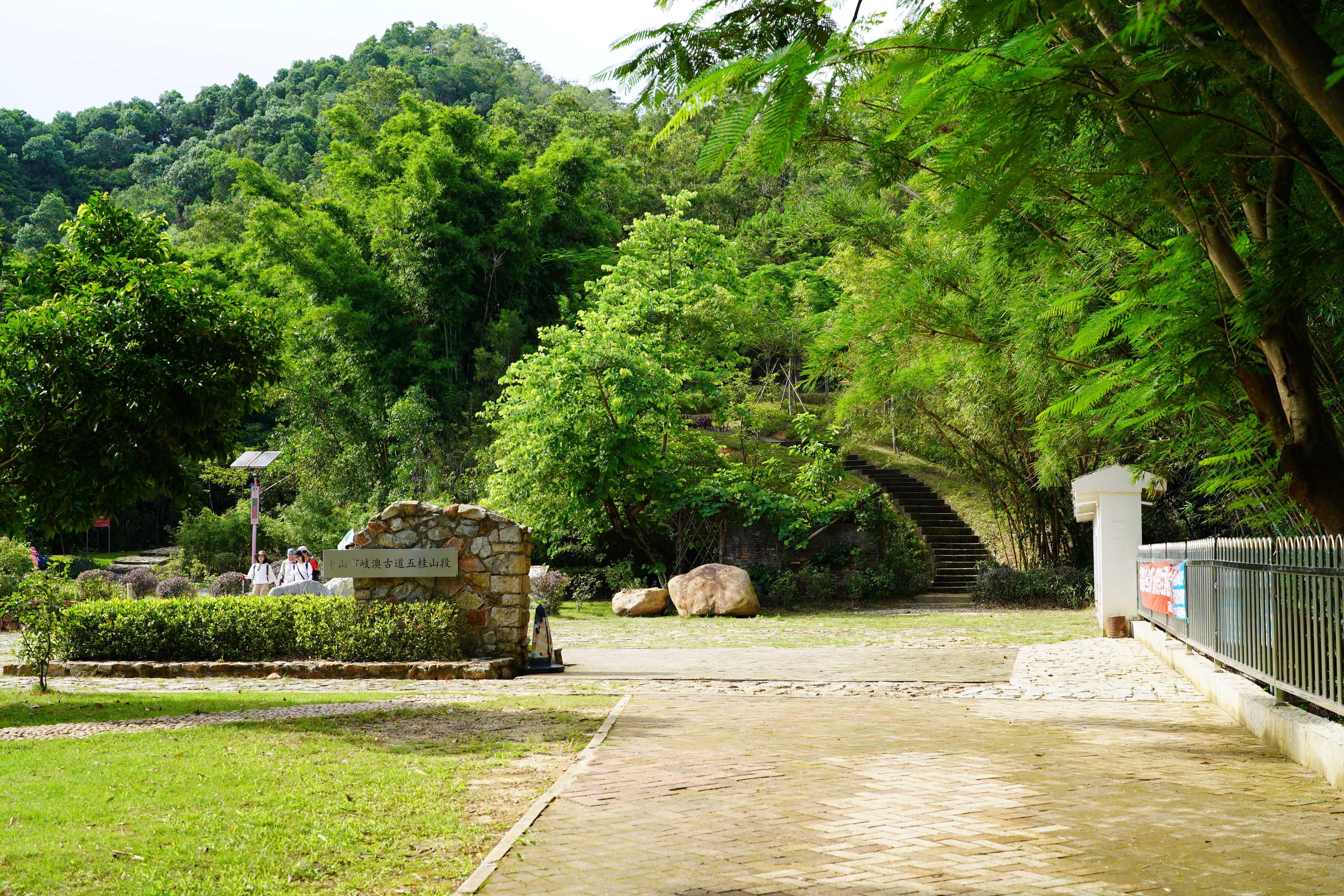 新澳門彩生肖走勢圖，探索與解讀彩票背后的秘密，探索解讀新澳門彩生肖走勢圖，彩票背后的秘密揭秘