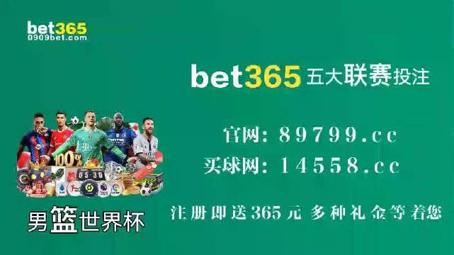 王中王中特馬王中王精準(zhǔn)資料解析與SEO優(yōu)化策略探討，王中王中特馬精準(zhǔn)資料解析與SEO策略探討