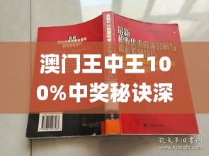 新澳門王中王期期中，探索與解析，新澳門王中王期期中，深度探索與解析