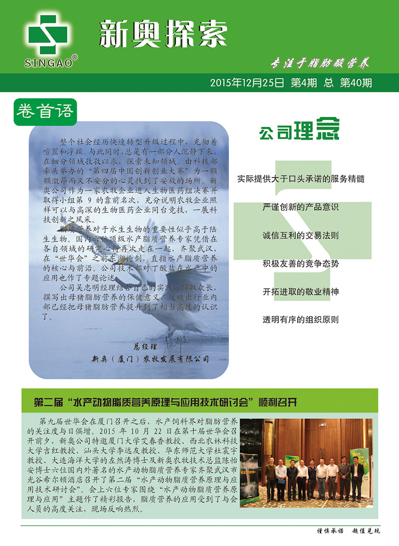2025新澳正版資料查詢指南，2025新澳正版資料查詢手冊