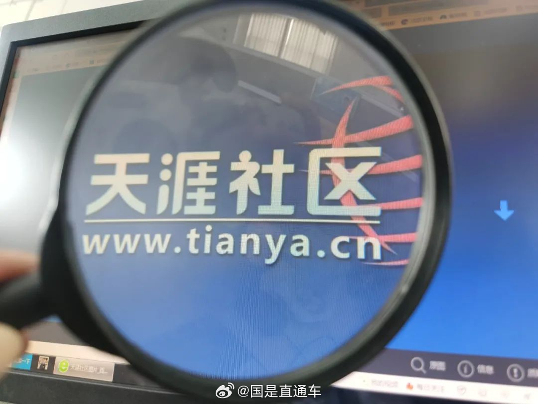 天涯國際觀察，全球視野下的深度分析與洞察，全球深度洞察，天涯國際觀察分析