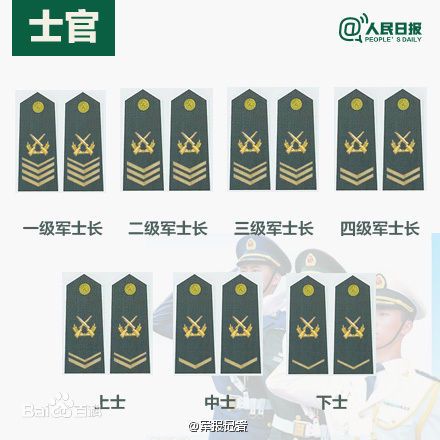 全球各國軍士長軍銜對照表及其重要性，全球各國軍士長軍銜對照表，揭示其重要性