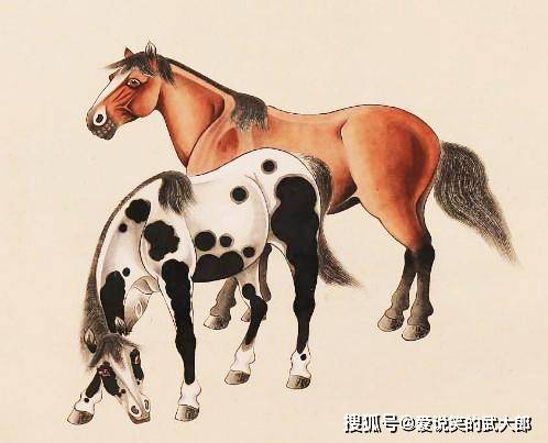 香港四不像一肖生肖圖，揭秘背后的神秘文化，香港四不像一肖生肖圖，神秘文化背后的揭秘