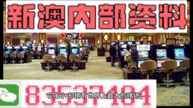 新澳門最精準——探索澳門的精準旅游體驗，澳門精準旅游探索，深度體驗澳門的獨特魅力