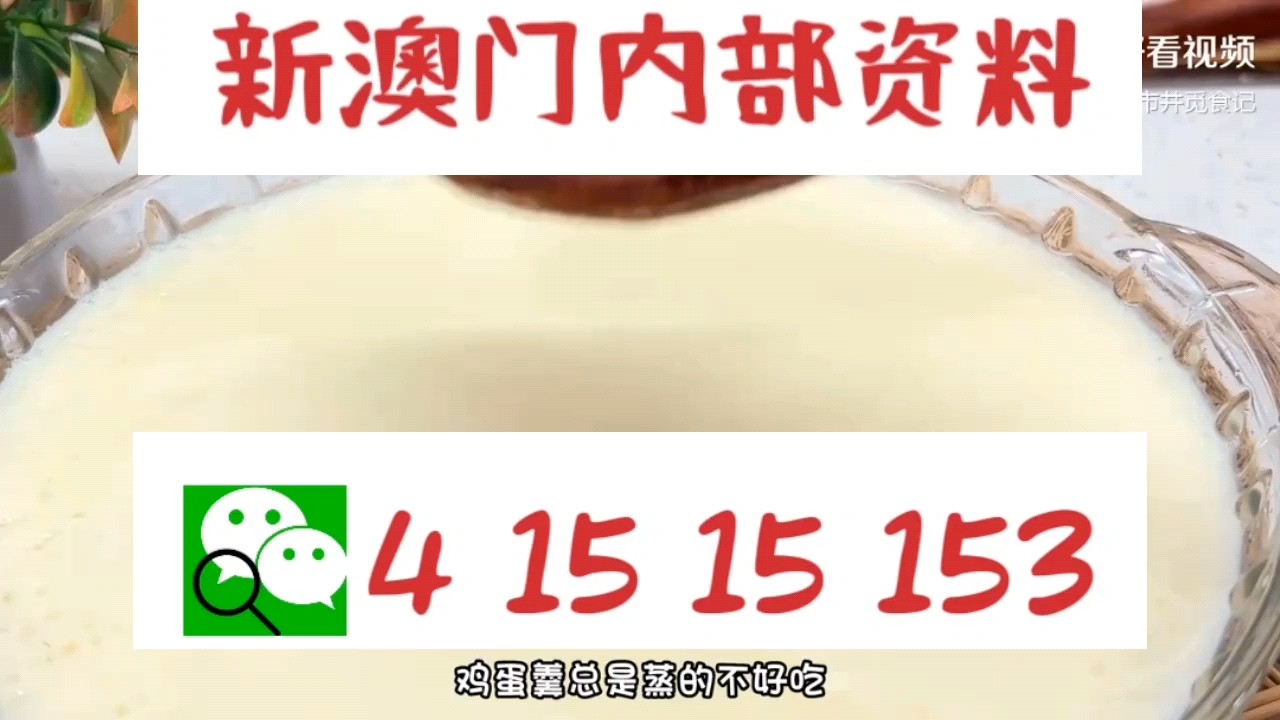 新澳門(mén)中特網(wǎng)中特馬，探索與解析，澳門(mén)中特馬探索與解析指南