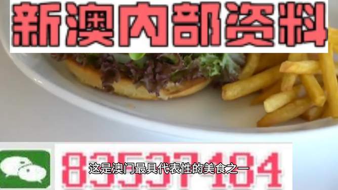 新澳2024生肖最新資料解析與預(yù)測(cè)，新澳2024生肖解析與預(yù)測(cè)報(bào)告