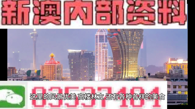 澳門精準(zhǔn)的資料大全，探索與發(fā)現(xiàn)，澳門精準(zhǔn)資料大全，探索未知的寶藏