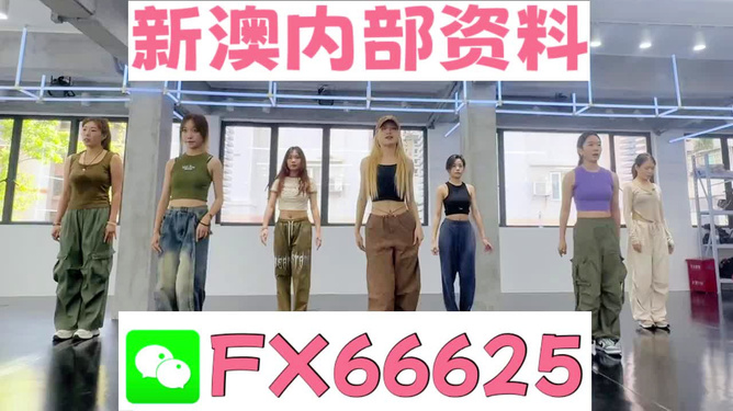 新澳一肖，探索與解析，新澳一肖，深度探索與解析
