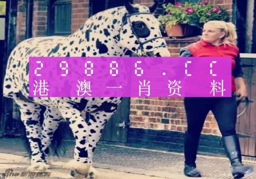 香港網(wǎng)址王中王一肖中特，探索與解析，香港網(wǎng)址王中王一肖中特，深度探索與解析