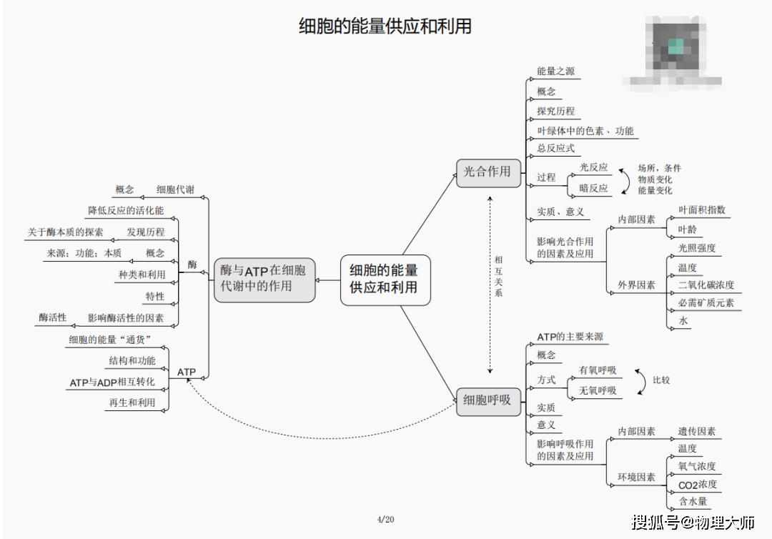 揭秘劉伯溫四肖三期內(nèi)必出一，神秘預(yù)言背后的真相，劉伯溫四肖三期預(yù)言真相揭秘，神秘預(yù)言背后的必然與偶然