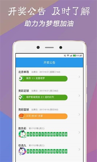 澳門(mén)今一必中一肖一碼一肖，揭秘彩票背后的秘密與策略，揭秘彩票背后的秘密與策略，澳門(mén)今一必中一肖一碼一肖探秘