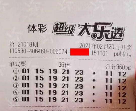 王中王018期指一生肖，揭秘背后的奧秘與意義，揭秘生肖奧秘，王中王生肖背后的意義與秘密