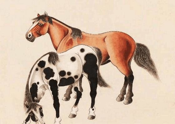 馬一王中王特平一肖圖，深度解析與SEO優(yōu)化策略，深度解析馬一王中王特平肖圖，SEO優(yōu)化策略探討