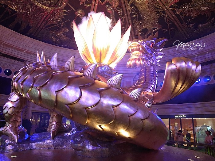 澳門(mén)無(wú)錯(cuò)七尾，探索與解析，澳門(mén)無(wú)錯(cuò)七尾，深度探索與解析