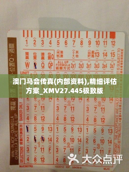 馬會(huì)傳真正版，探索正版馬會(huì)文化的魅力與價(jià)值，正版馬會(huì)文化的魅力與價(jià)值探索