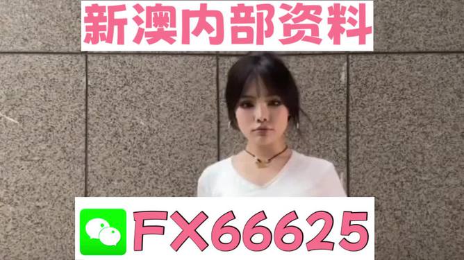 澳門正版資料大全完整版，探索與揭秘2025年澳門正版資料的世界，澳門正版資料大全揭秘，探索未來至2025年的奧秘世界