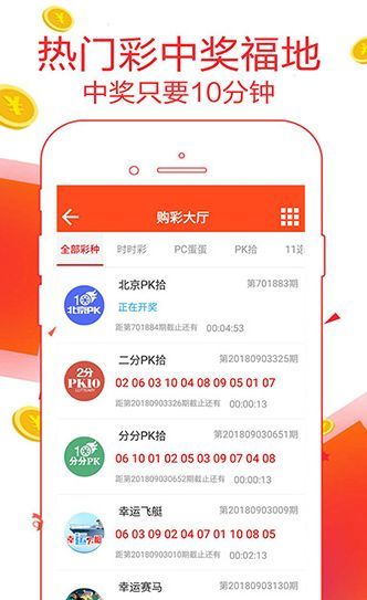 王中王一肖碼數(shù)口，深度解析與SEO優(yōu)化策略，王中王一肖碼數(shù)口深度解析與SEO優(yōu)化策略探討