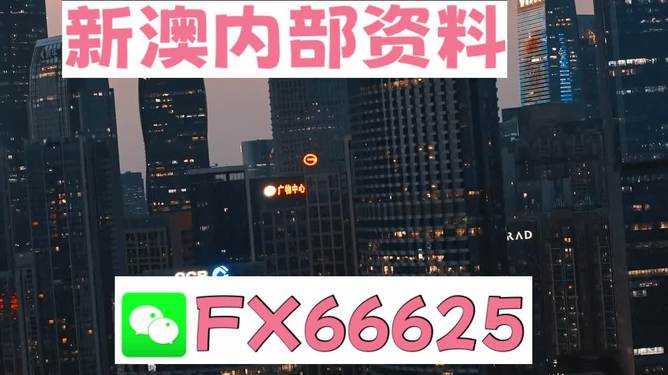 今期澳門跑狗圖——深度解析與探索，澳門跑狗圖深度解析與探索揭秘