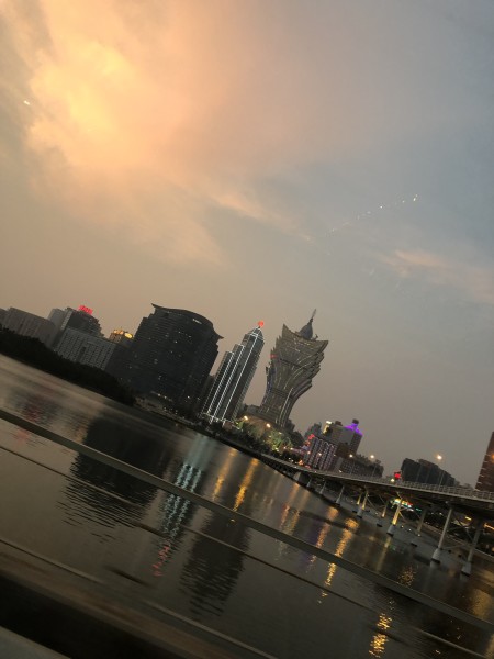 澳門(mén)今晚必開(kāi)一肖一特，深度解析與預(yù)測(cè)，澳門(mén)今晚生肖特碼深度解析與預(yù)測(cè)，一肖一特必開(kāi)趨勢(shì)探討