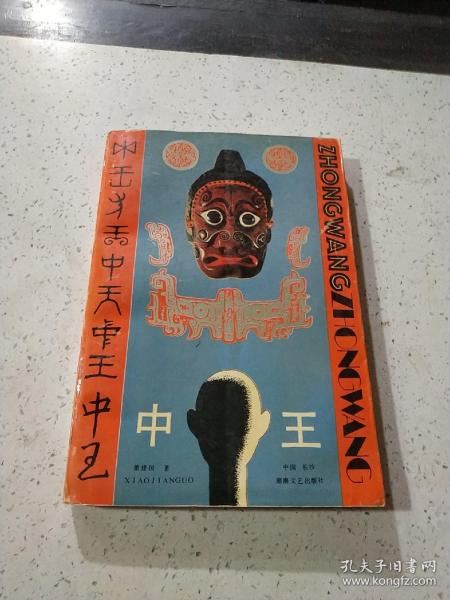 王中王資料與肖中特，深度解析，王中王資料與肖中特深度剖析