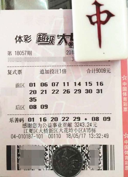 澳門六開彩天天開獎結(jié)果查詢，輕松掌握最新動態(tài)，澳門六開彩最新開獎結(jié)果查詢，輕松掌握每日動態(tài)