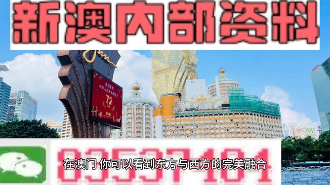 新澳新澳門正版資料，探索與解讀，新澳新澳門正版資料的探索與解讀