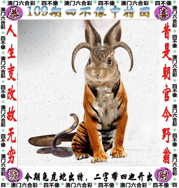四不像王中王資料一肖，深度解析與探索，四不像王中王資料一肖，深度解析與探索揭秘