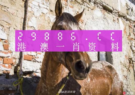 王中王資料一門肖中，深度解析與探索，王中王資料一門肖詳解，深度解析與探索
