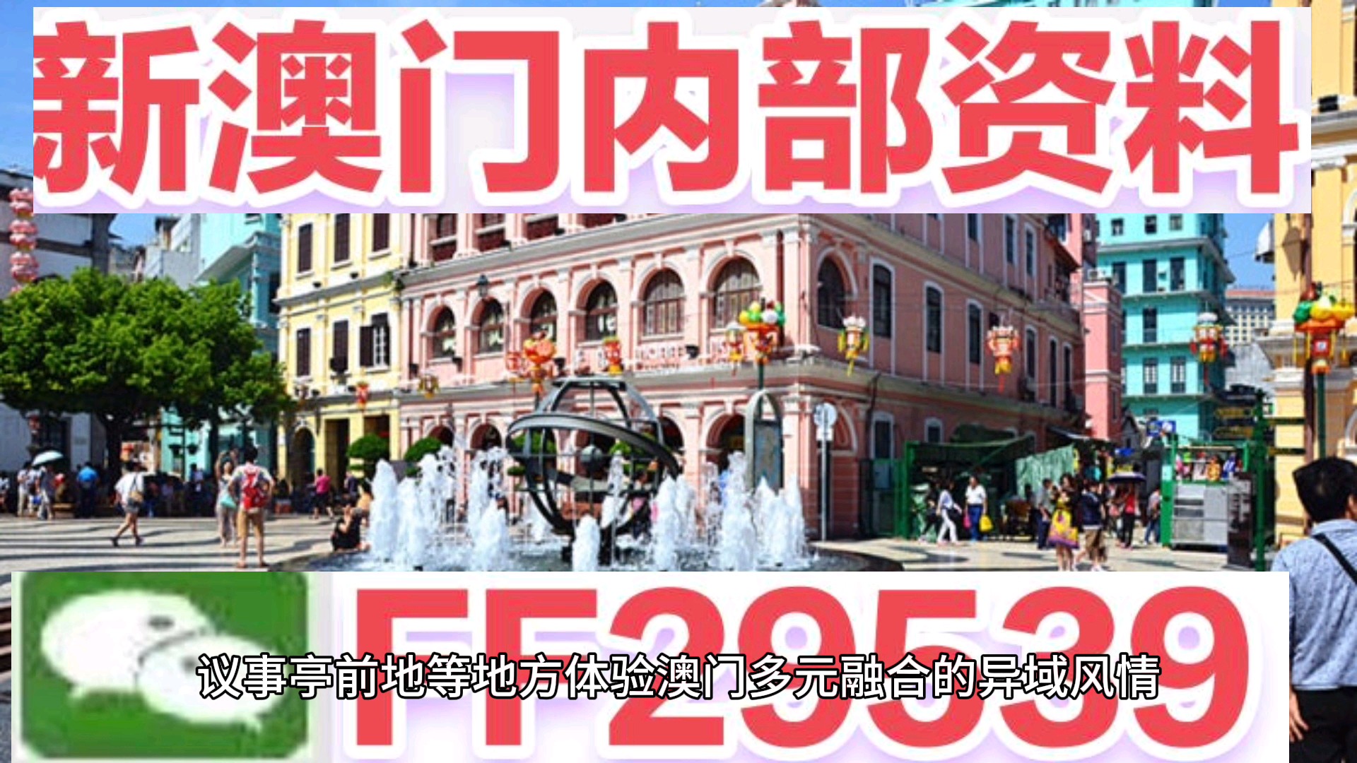 澳門今晚必開一肖一特，揭秘生肖彩票的魅力與策略，澳門生肖彩票揭秘，必開一肖一特的魅力與策略
