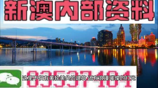新澳新澳門正版資料，探索與解析，新澳新澳門正版資料深度解析與探索