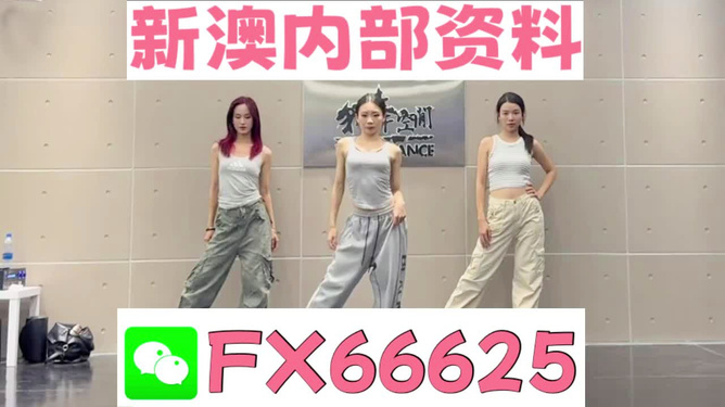 揭秘管家婆一碼中一肖的神秘預(yù)測(cè)，探尋未來(lái)之門 2025展望，揭秘未來(lái)之門，管家婆一碼中一肖的神秘預(yù)測(cè) 2025展望