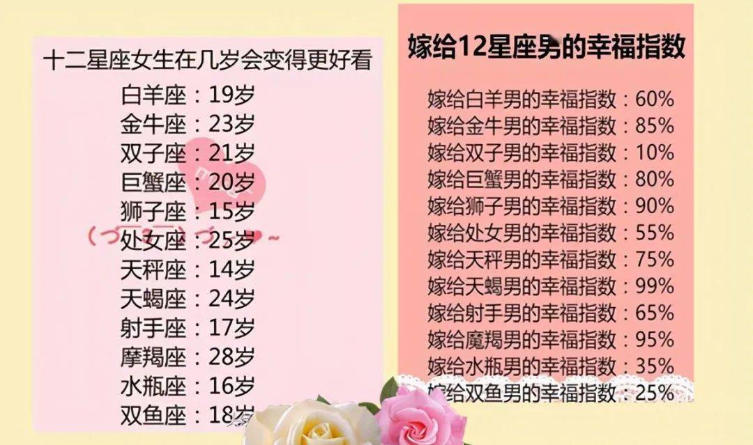 王中王十二生肖所屬之肖解析，王中王十二生肖解析揭秘