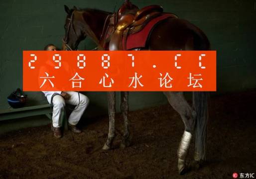一肖一馬王中王一馬中特，深度解析與SEO優(yōu)化策略，一肖一馬王中王深度解析與SEO優(yōu)化策略探討