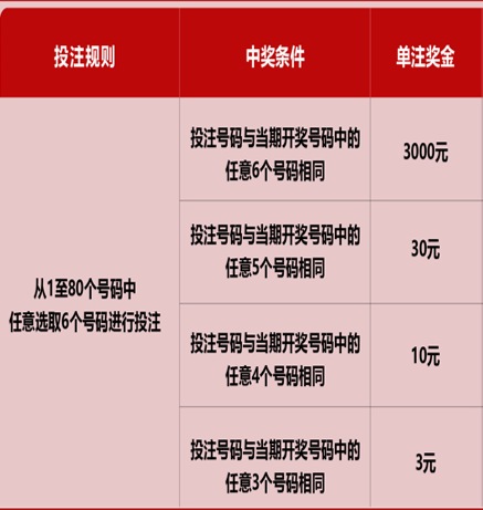 新澳門六開彩天天免費(fèi)開獎(jiǎng)結(jié)果，揭秘彩票背后的秘密，揭秘新澳門六開彩背后的秘密，天天免費(fèi)開獎(jiǎng)結(jié)果一網(wǎng)打盡