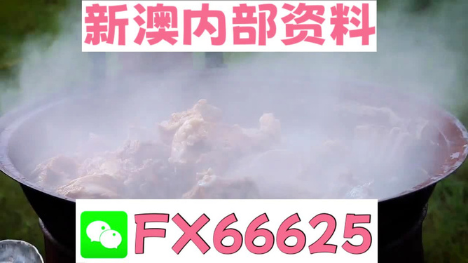 新澳全年免費(fèi)資料大全，一站式獲取優(yōu)質(zhì)資源指南，新澳全年優(yōu)質(zhì)資源免費(fèi)獲取指南