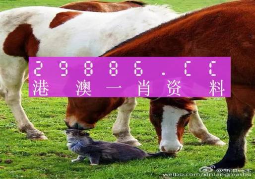 新奧門一肖一碼，揭秘精準(zhǔn)預(yù)測的秘密，揭秘新澳門一肖一碼精準(zhǔn)預(yù)測的秘密
