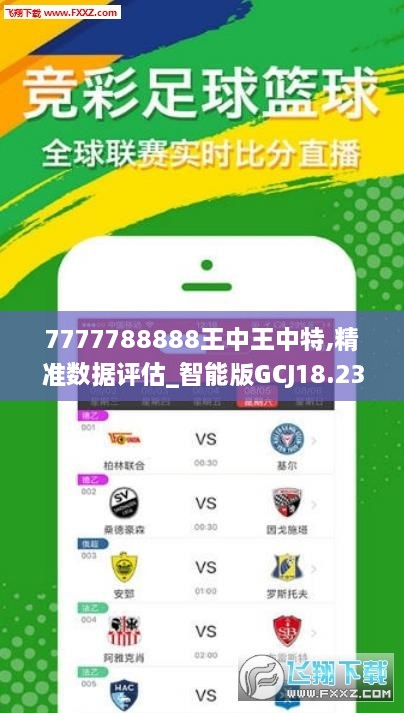 王中王319期指一生肖，深度解析與SEO優(yōu)化策略，王中王319期生肖深度解析與SEO優(yōu)化策略全攻略