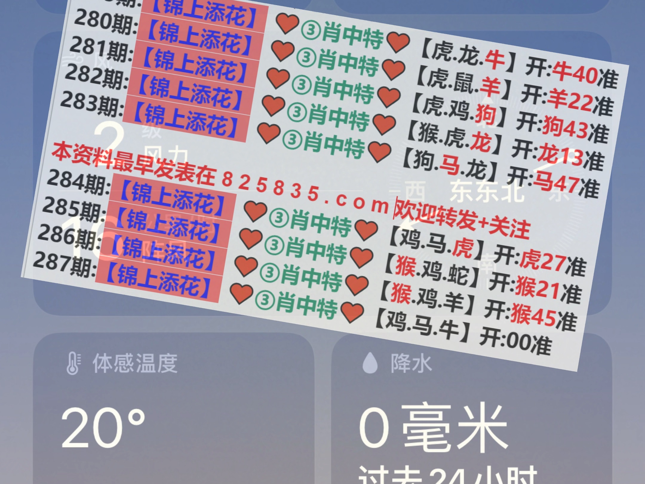 新澳2025年精準(zhǔn)一肖一碼，揭秘預(yù)測背后的秘密，揭秘新澳2025年精準(zhǔn)一肖一碼預(yù)測背后的秘密