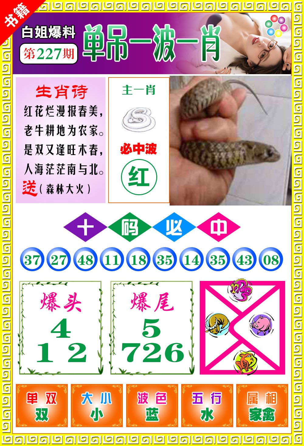 王中王免費開獎一肖結(jié)果，揭秘彩票背后的秘密，揭秘王中王彩票開獎內(nèi)幕，一肖結(jié)果背后的秘密揭曉