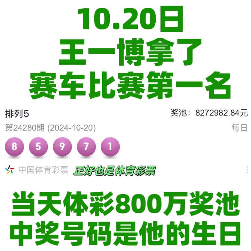 王中王一肖資料中特馬——深度解析與SEO洞察，王中王一肖特馬深度解析與SEO洞察揭秘