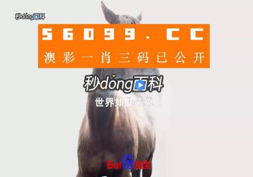 香港內(nèi)部公開資料一碼，深度解析與探索，香港內(nèi)部公開資料一碼深度解析與探索揭秘