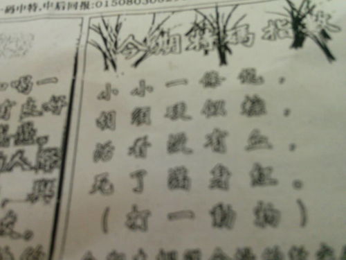 揭秘必中劉伯溫猜一生肖的神秘面紗，揭秘劉伯溫生肖預測背后的神秘面紗