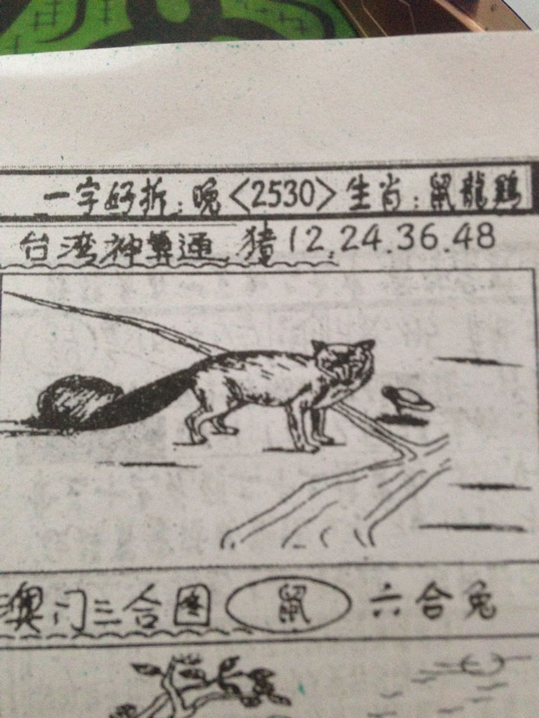 揭秘生肖奧秘，看圖猜一生肖劉伯溫的傳奇故事，揭秘生肖奧秘，劉伯溫傳奇故事中的生肖之謎探索