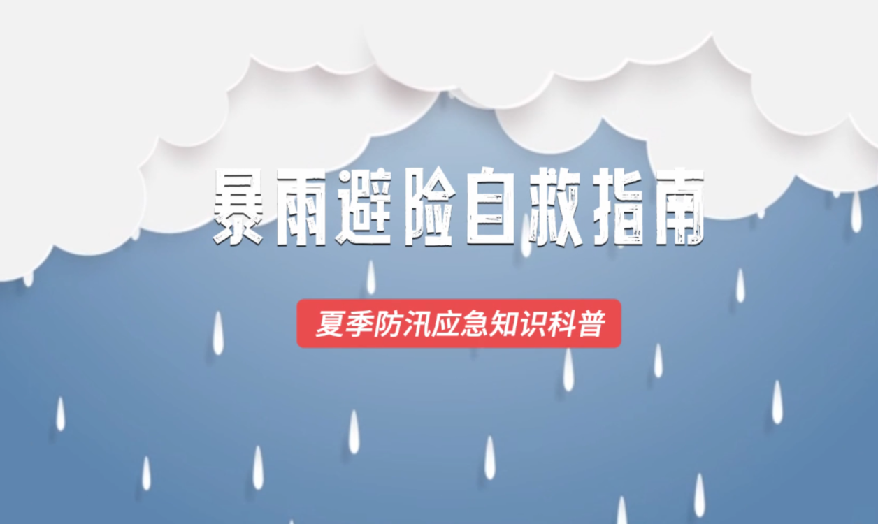 澳門六2023開獎結果詳解及預測分析，澳門六開獎結果詳解與預測分析（2023年）